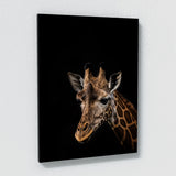 Animal Black Giraffe Head 130 Wall Art