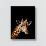 Animal Black Giraffe Head 131 Wall Art