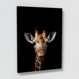 Animal Black Giraffe Head 132 Wall Art