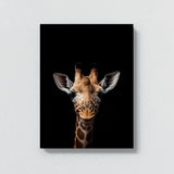 Animal Black Giraffe Head 132 Wall Art