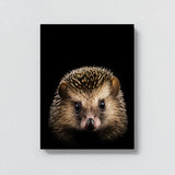 Animal Black Hedgehog Head 233 Wall Art