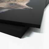 Animal Black Hedgehog Head 236 Wall Art