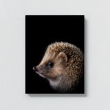 Animal Black Hedgehog Head 239 Wall Art