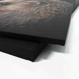 Animal Black Hedgehog Head 239 Wall Art