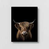 Animal Black Highland Cow Head 223 Wall Art