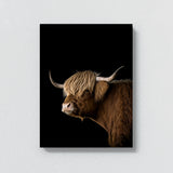 Animal Black Highland Cow Head 252 Wall Art