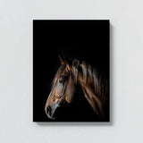 Animal Black Horse Head 186 Wall Art
