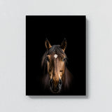 Animal Black Horse Head 79 Wall Art