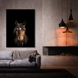 Animal Black Horse Head 79 Wall Art