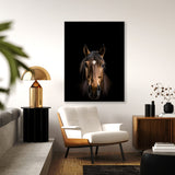 Animal Black Horse Head 79 Wall Art