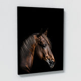 Animal Black Horse Head 91 Wall Art