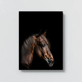 Animal Black Horse Head 91 Wall Art