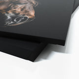Animal Black Horse Head 91 Wall Art