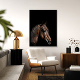 Animal Black Horse Head 91 Wall Art