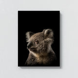 Animal Black Koala Head 157 Wall Art