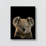 Animal Black Koala Head 159 Wall Art