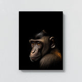 Animal Black Monkey Head 50 Wall Art