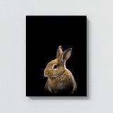 Animal Black Rabbit Head 45 Wall Art