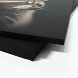 Animal Black Raccoon Head 161 Wall Art
