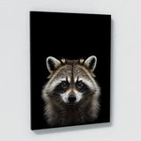 Animal Black Raccoon Head 75 Wall Art