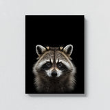 Animal Black Raccoon Head 75 Wall Art