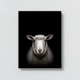 Animal Black Sheep Head 127 Wall Art