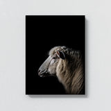 Animal Black Sheep Head 247 Wall Art