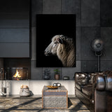 Animal Black Sheep Head 247 Wall Art