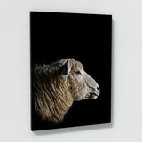 Animal Black Sheep Head 248 Wall Art