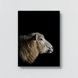 Animal Black Sheep Head 248 Wall Art