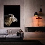 Animal Black Sheep Head 248 Wall Art