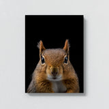 Animal Black Squirrel Head 227 Wall Art