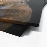 Animal Black Squirrel Head 227 Wall Art