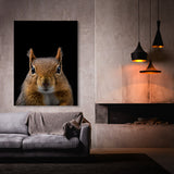 Animal Black Squirrel Head 227 Wall Art