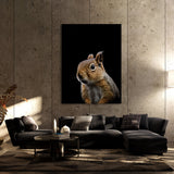 Animal Black Squirrel Head 230 Wall Art
