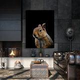 Animal Black Squirrel Head 230 Wall Art