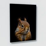 Animal Black Squirrel Head 232 Wall Art