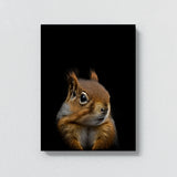 Animal Black Squirrel Head 232 Wall Art