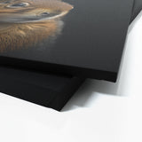 Animal Black Squirrel Head 232 Wall Art
