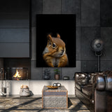 Animal Black Squirrel Head 232 Wall Art