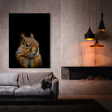Animal Black Squirrel Head 232 Wall Art