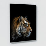 Animal Black Tiger Head 38 Wall Art