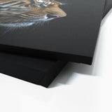 Animal Black Tiger Head 38 Wall Art