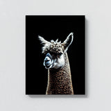 Alpaca 10 Wall Art