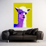 Alpaca 11 Wall Art