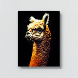 Alpaca 15 Wall Art