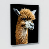 Alpaca 19 Wall Art