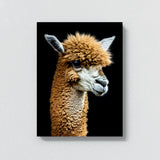 Alpaca 19 Wall Art
