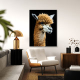 Alpaca 19 Wall Art