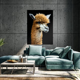 Alpaca 19 Wall Art